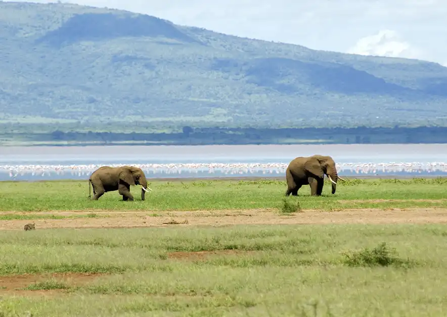 Zanzibar Vacations Alpha Grand Travel & Holidays