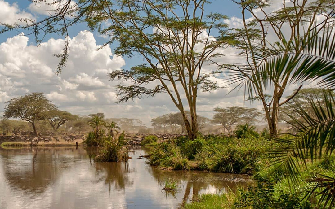 Tanzania’s National Parks Are Growing: New Places to Visit